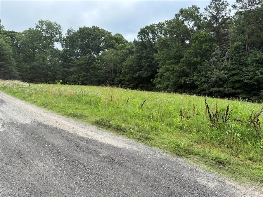 Lot 1 Rock Haven Drive, King, NC 27021 - Image #3