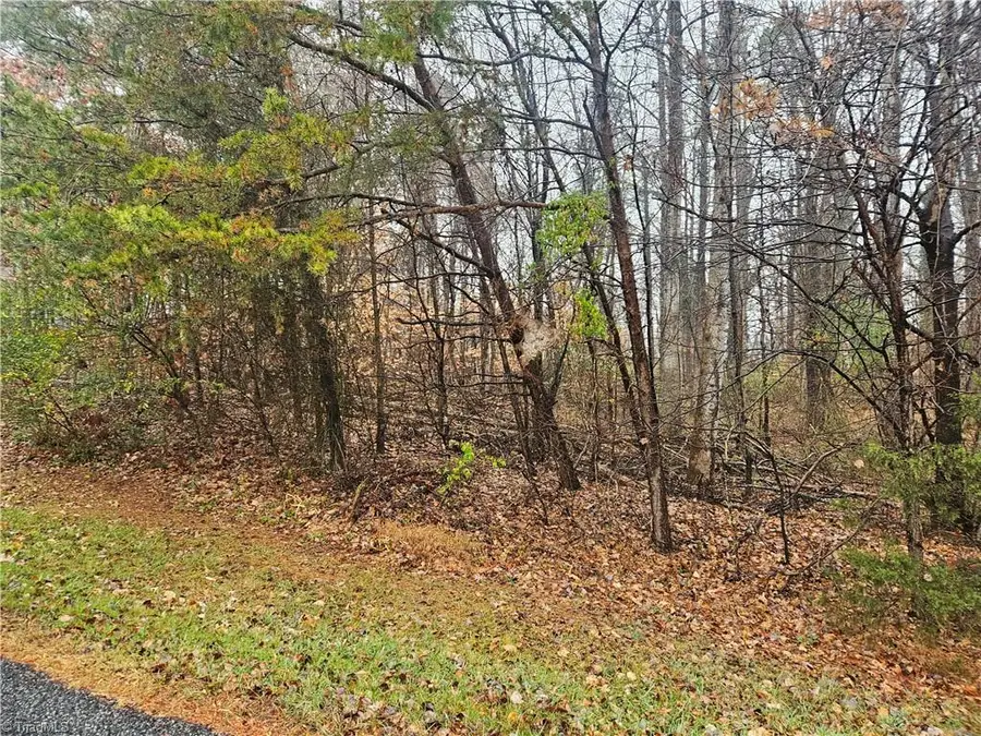 2145 Jefferson Oaks Drive, Rural Hall, NC 27045 - Image #2