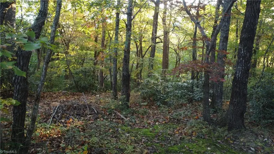 TBD Fisher Peak Trail, Lowgap, NC 27024 - Image #3