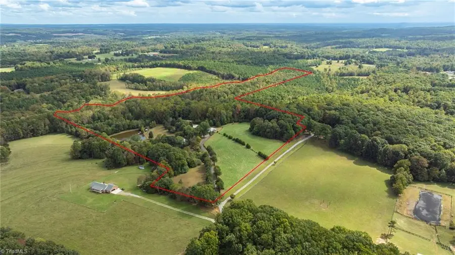 3168 Benny Lineberry Road, Climax, NC 27233 - Image #2