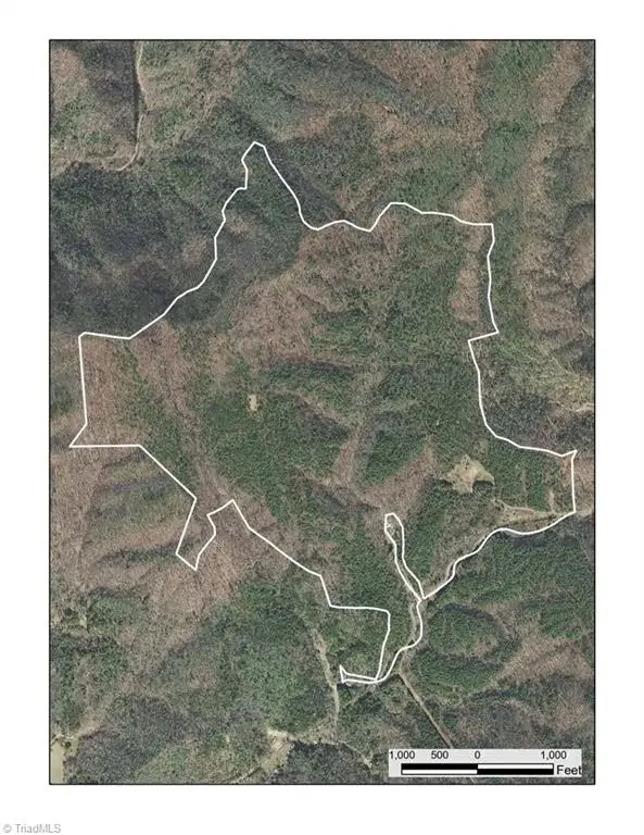 1501 Buckwheat Road, McGrady, NC 28649 - Image #1