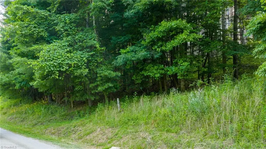 TBD 16 Bill Cooper Road, Crumpler, NC 28617 - Image #3
