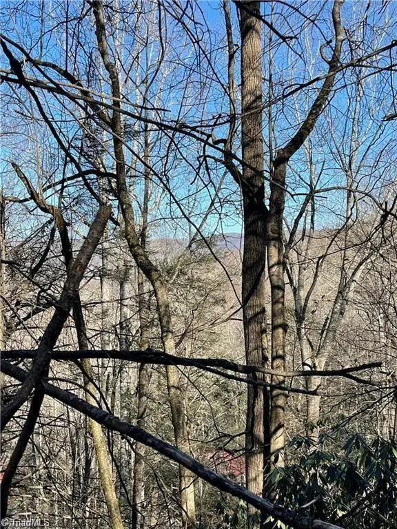 Lot E-15 Laurel Ridge Road, Banner Elk, NC 28604 - Image #1