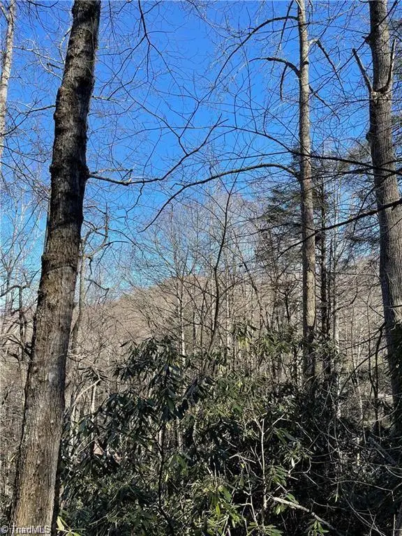 Lot E-15 Laurel Ridge Road, Banner Elk, NC 28604 - Image #3