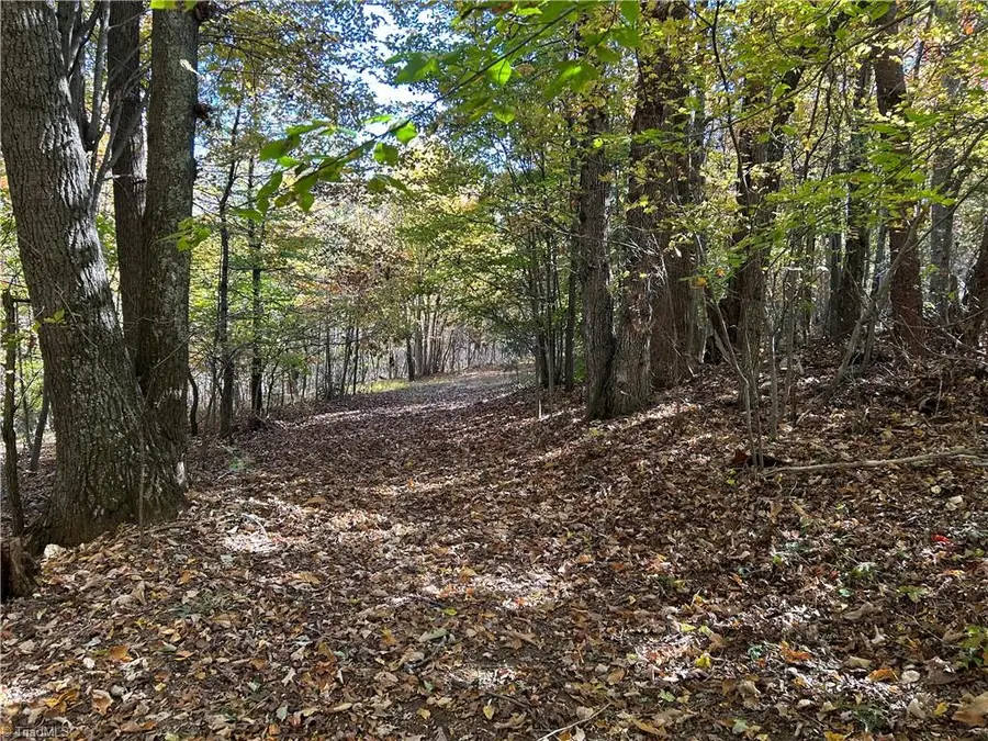 0 Buffalo Road, Sandy Ridge, NC 27046 - Image #3