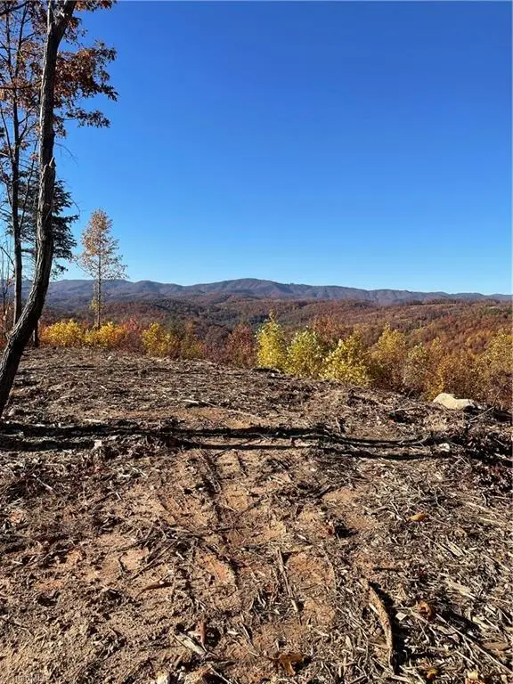 Lot 65 and 66 Widow Mountain Drive, Walnut Grove, NC 28659 - Image #2