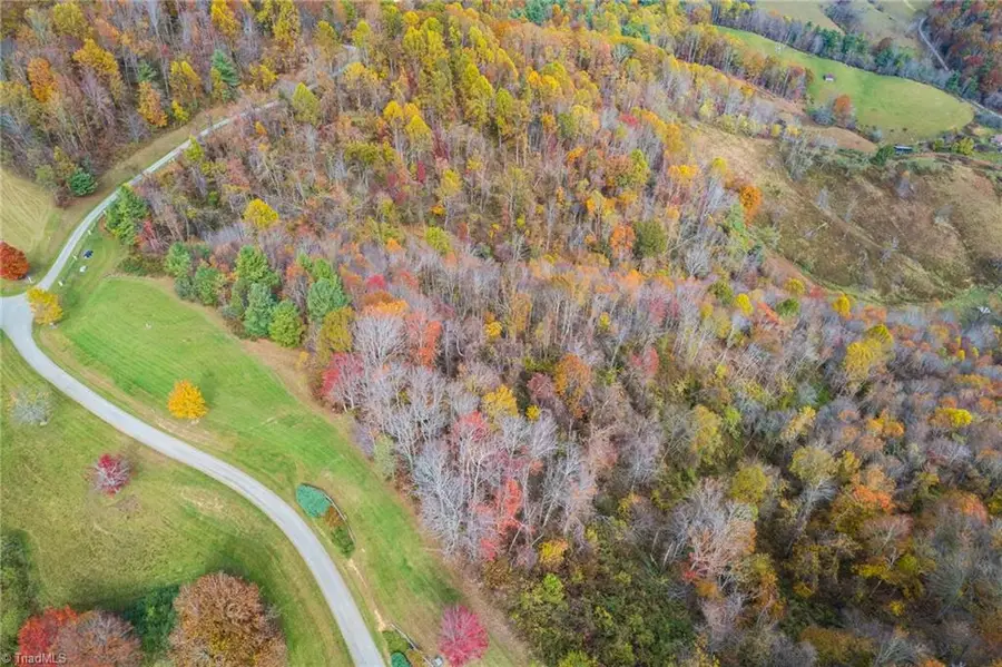 TBD 3 Mayito Lane, Mouth Of Wilson, VA 24363 - Image #2