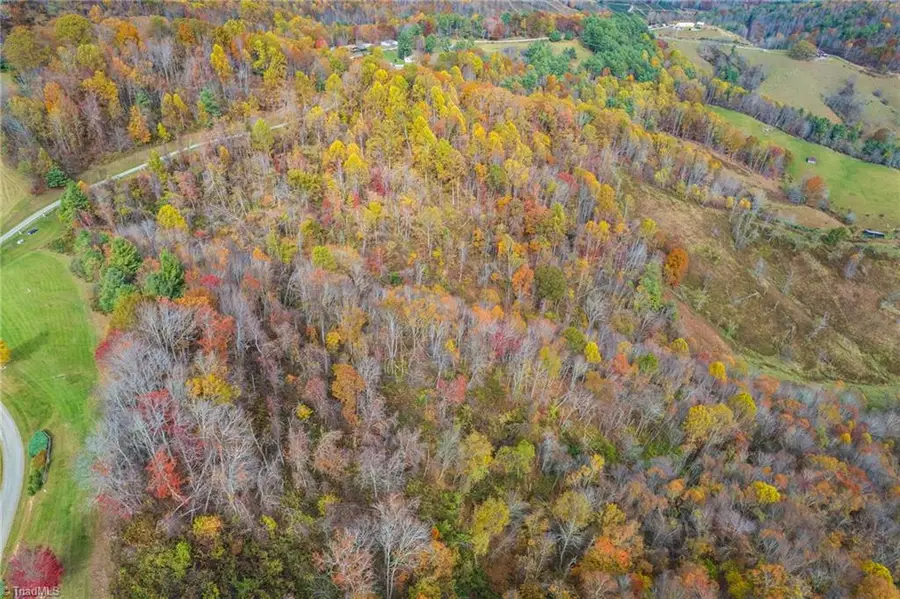 TBD 3 Mayito Lane, Mouth Of Wilson, VA 24363 - Image #3