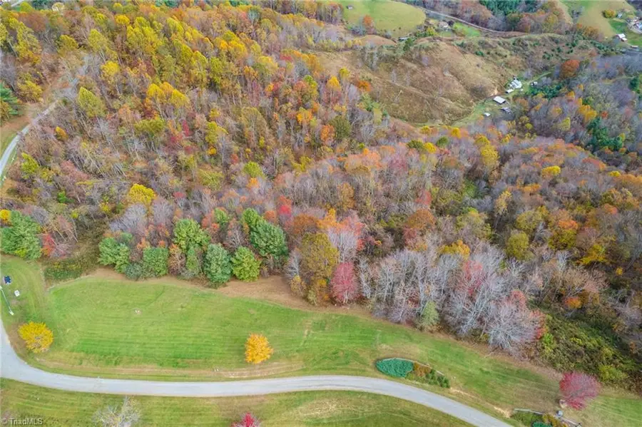 TBD 2 Mayito Lane, Mouth Of Wilson, VA 24363 - Image #3