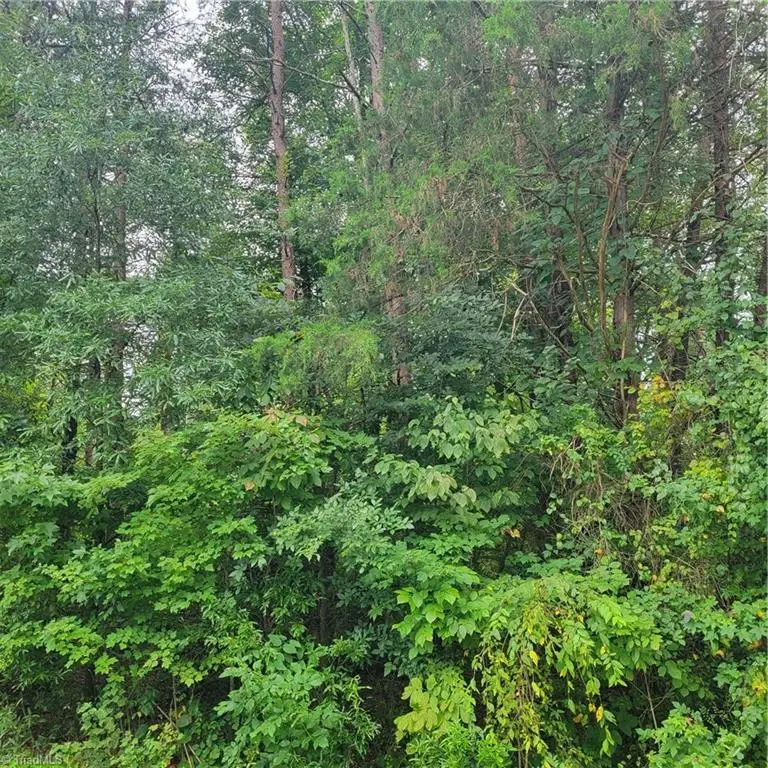 0 Ambridge Drive, Kernersville, NC 27284 - Image #1