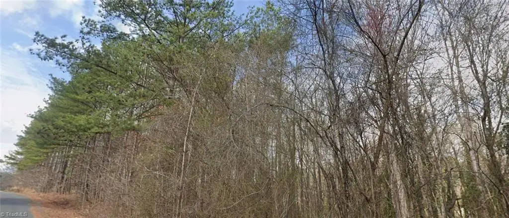 0 Pine Tree Place, Salisbury, NC 28144 - #1