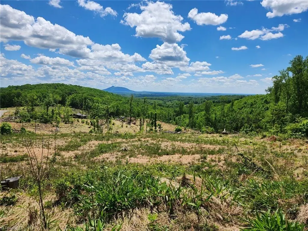 Lot 5 Howell Road, Pilot Mountain, NC 27041 - Image #1