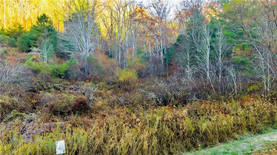 TBD Lot 23 River Stone Drive, Laurel Springs, NC 28644 - Image #3