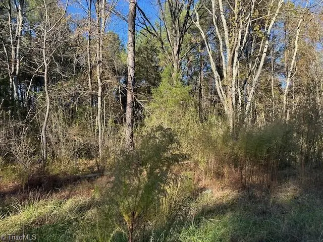 999 White Cross Road, Chapel Hill, NC 27516 - Image #3