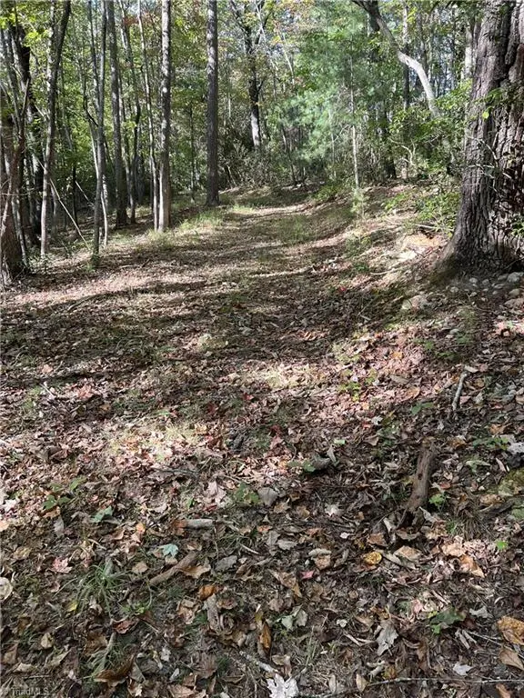 0000 Royall Road, Thurmond, NC 28683 - Image #3