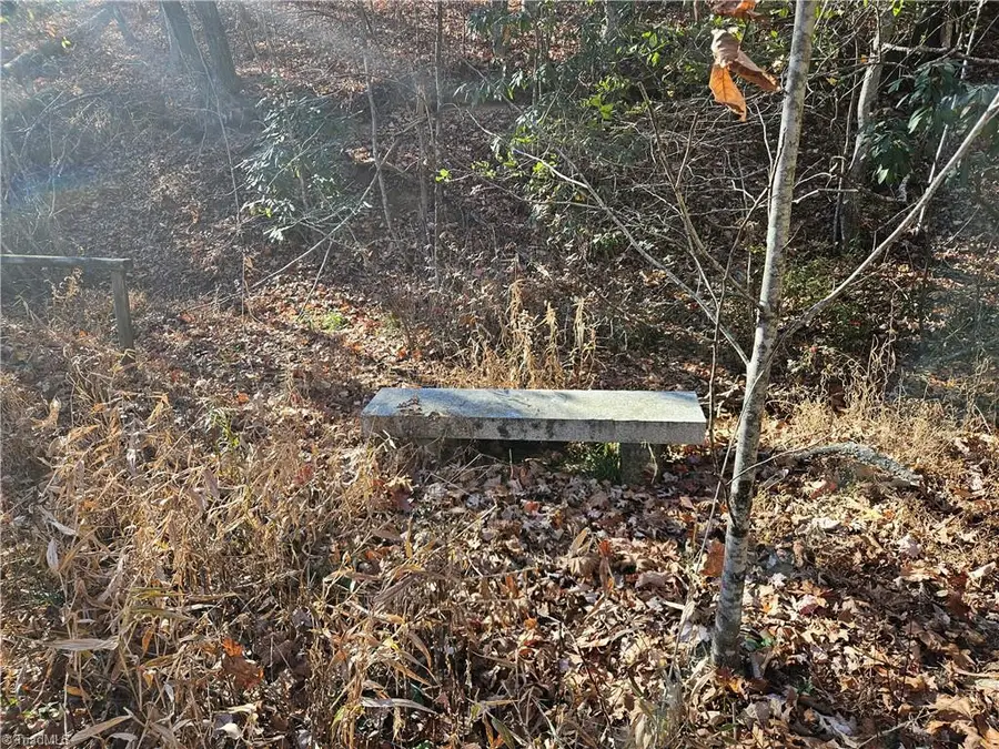 3309 E Pine Street, Mount Airy, NC 27030 - Image #3