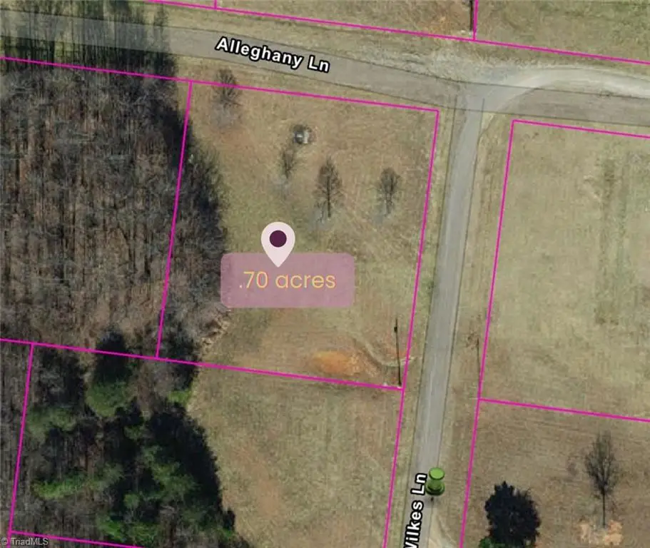 3002 Alleghany Lane, Pilot Mountain, NC 27041 - Image #1