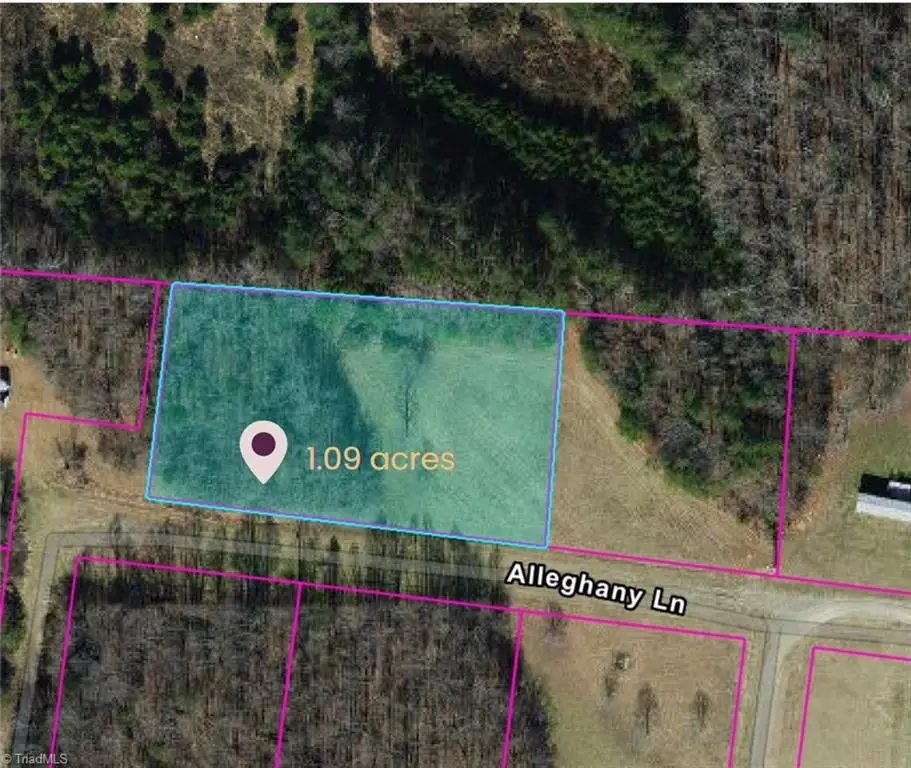 1207 Alleghany Lane, Pilot Mountain, NC 27041 - Image #1