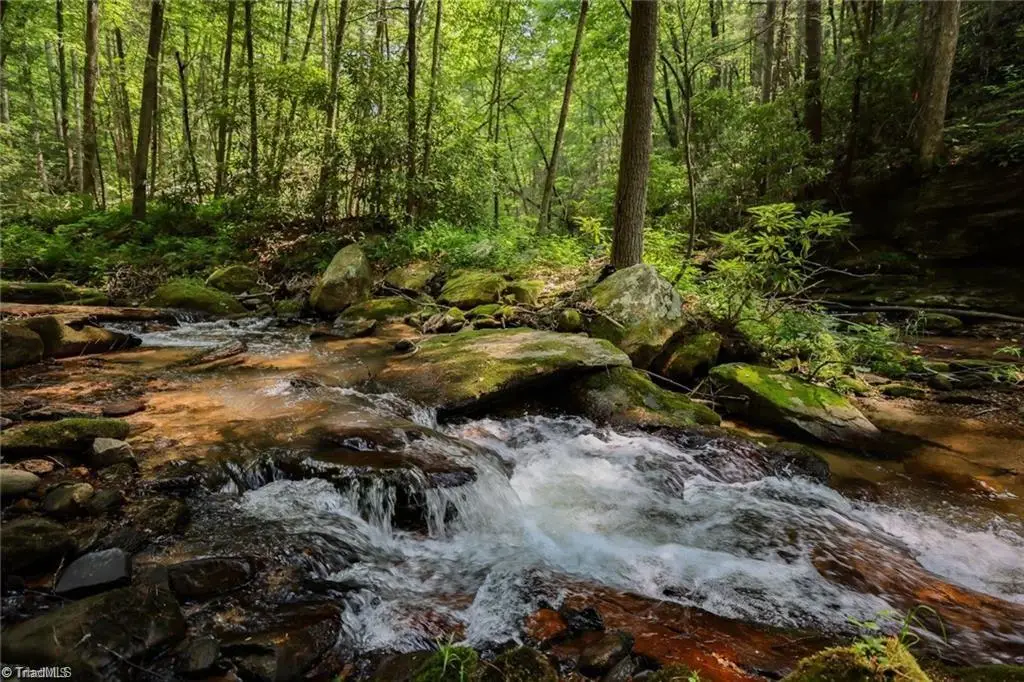 1612 Fall Creek Road, Purlear, NC 28665 - Image #1