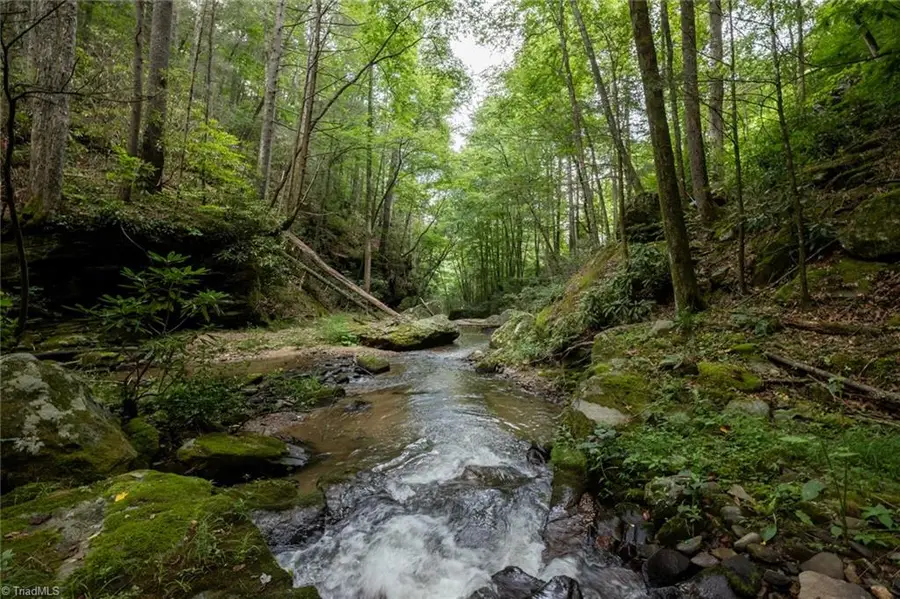 1612 Fall Creek Road, Purlear, NC 28665 - Image #2