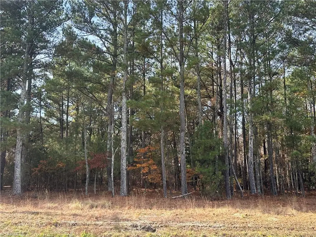 Lot 1 Windblow Road, Jackson Springs, NC 27281 - Image #1