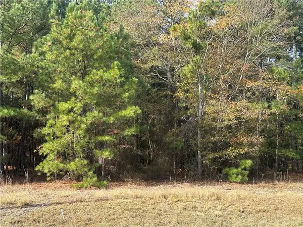 Lot 2 Windblow Road, Jackson Springs, NC 27281