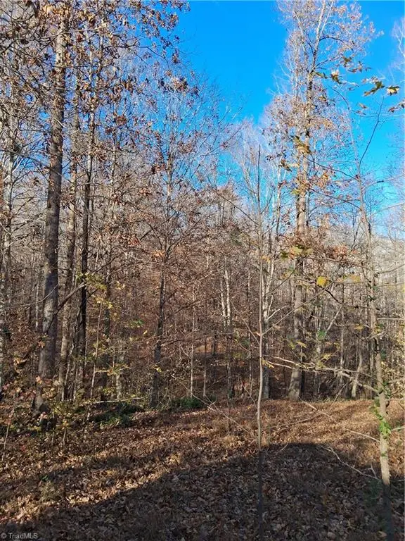 6819 Long Meadow Drive, Whitsett, NC 27377 - Image #3