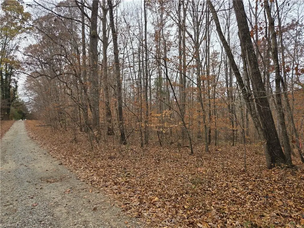 4901 Montford Road, Pfafftown, NC 27040 - Image #1