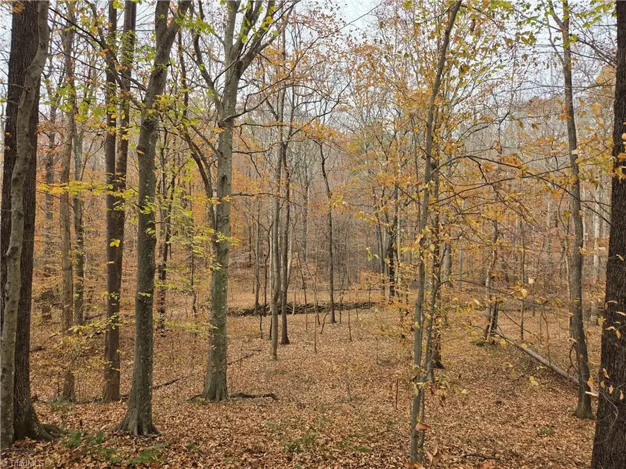 4927 Montford Road, Pfafftown, NC 27040 - Image #3