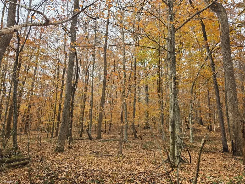 4901 & 4927 Montford Road, Pfafftown, NC 27040 - Image #1