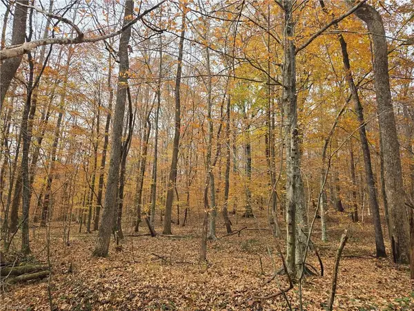 4901 & 4927 Montford Road, Pfafftown, NC 27040