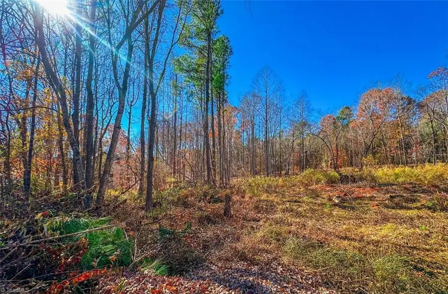 170 Hash Lane, Summerfield, NC 27358 - Image #2