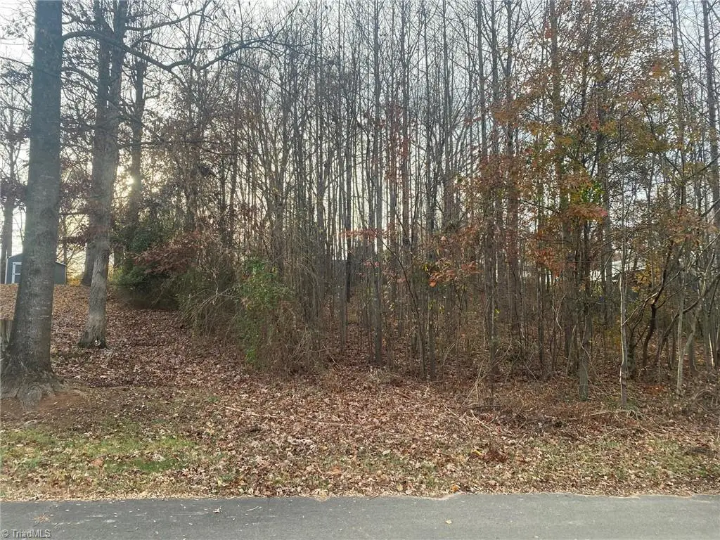 000 Meadow Lane Road, Hays, NC 28635 - Image #1