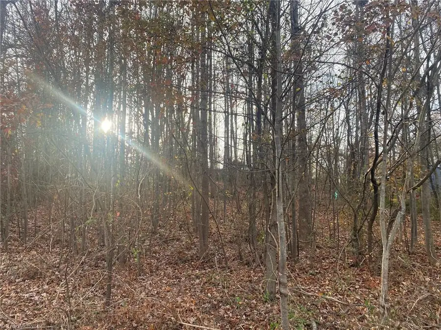 000 Meadow Lane Road, Hays, NC 28635 - Image #2