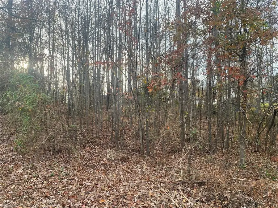 000 Meadow Lane Road, Hays, NC 28635 - Image #3