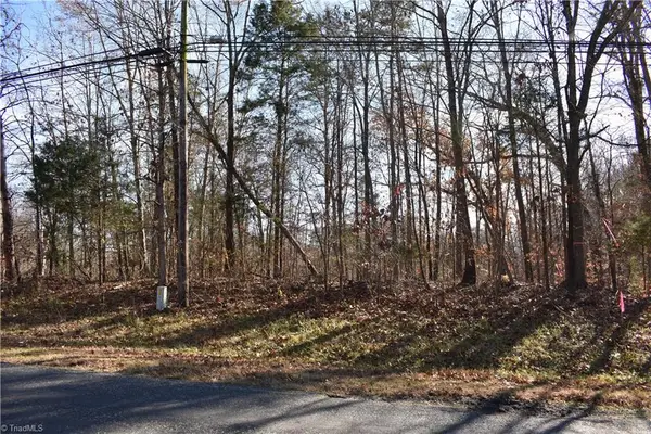0 Young Drive #New Tract 2, Lexington, NC 27292