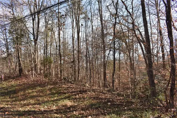 0 Young Drive #New Tract 1, Lexington, NC 27292