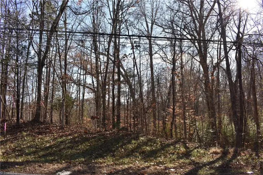 0 Young Drive #New Tract 1, Lexington, NC 27292 - Image #2