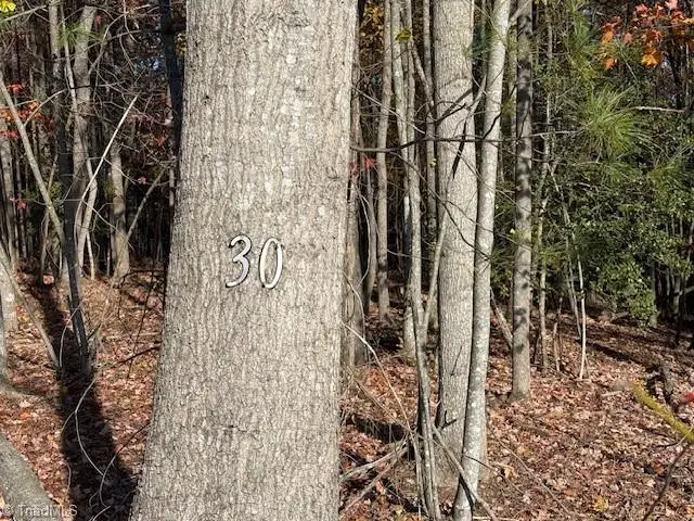 00 Billings Hill Church Road, Traphill, NC 28685 - Image #2