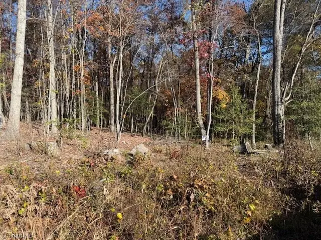 00 Billings Hill Church Road, Traphill, NC 28685 - Image #3