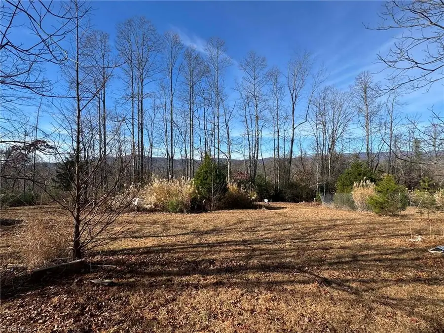 894 Traphill Mill Road, Traphill, NC 28685 - Image #2