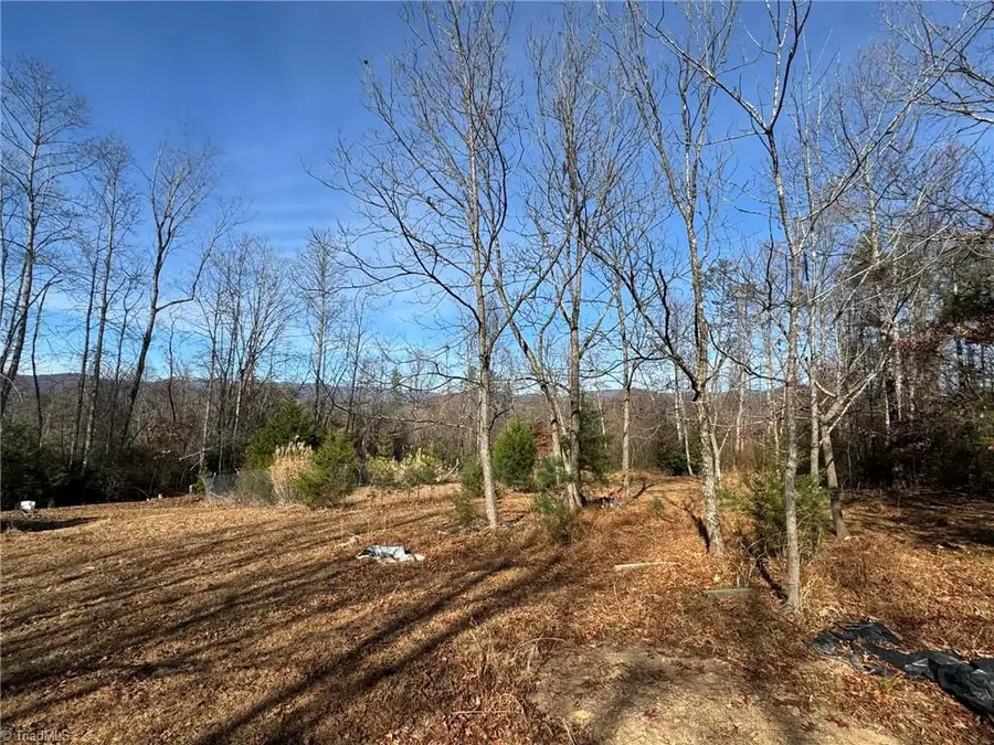 894 Traphill Mill Road, Traphill, NC 28685 - Image #3