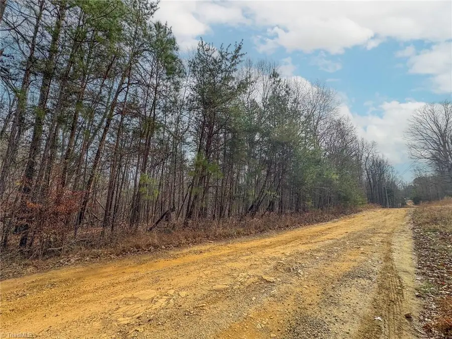 6124 Wild Horse Canyon Road, Snow Camp, NC 27349 - Image #2