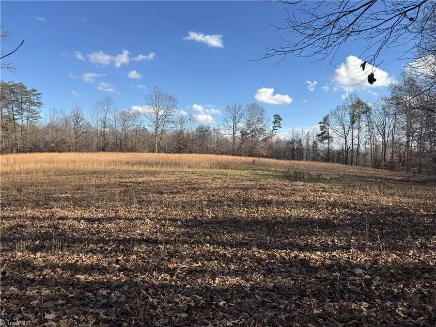 0 Bear Woods Trail, Mocksville, NC 27028 - Image #3