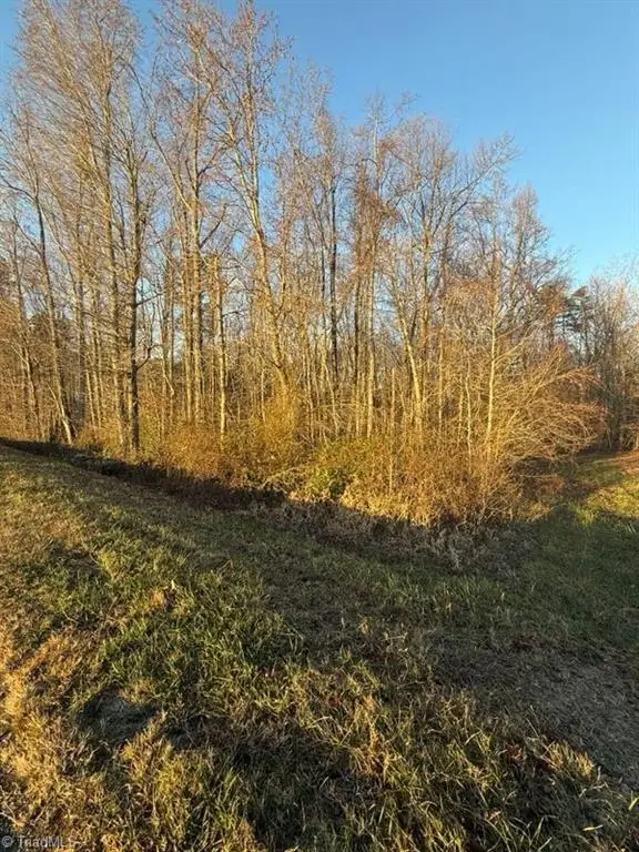 8143 Brann Road, Browns Summit, NC 27214 - Image #3