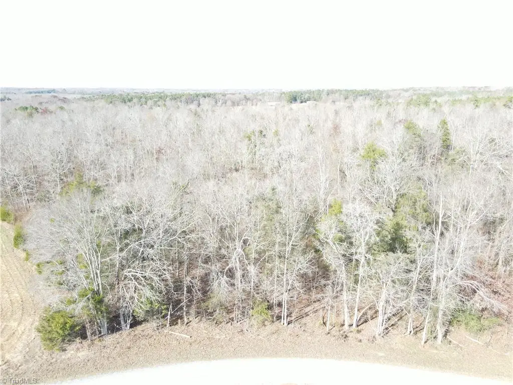 0 Flat Creek Road, Bennett, NC 27208 - Image #1