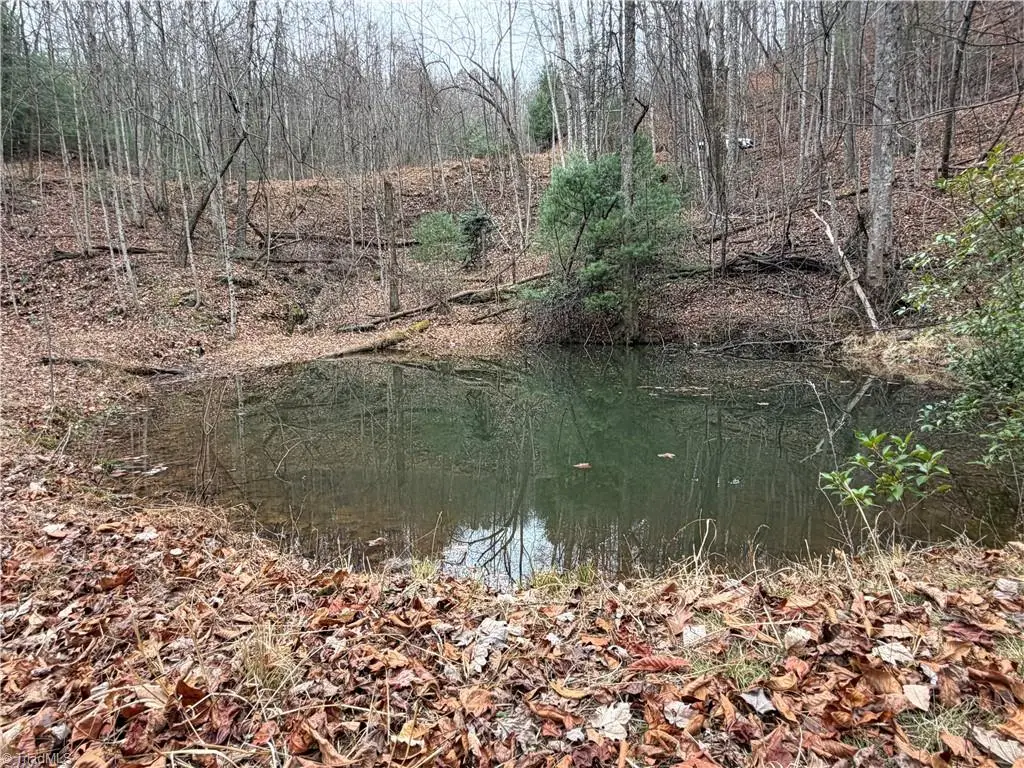 Lot 218 Casey Mountain Road, Purlear, NC 28665 - Image #1