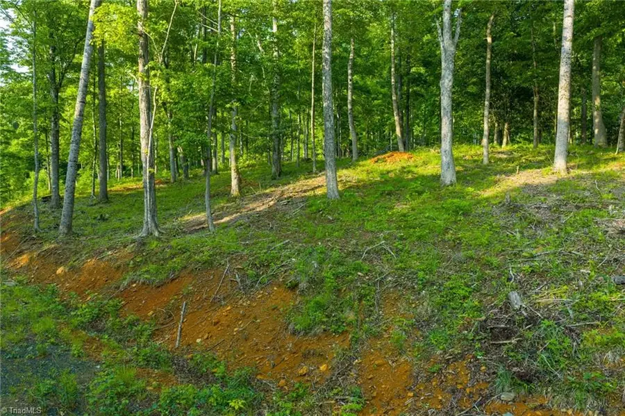 7 Autumn Lane, West Jefferson, NC 28694 - Image #3