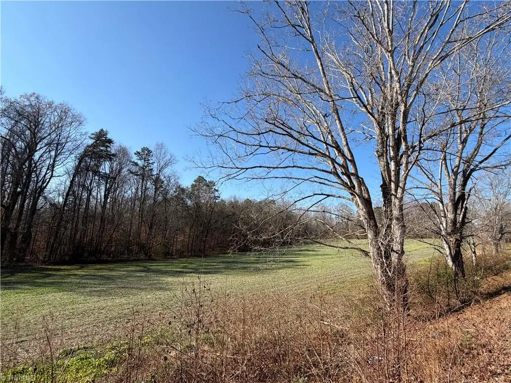 00 Conrad Road, Lewisville, NC 27023 - Image #1