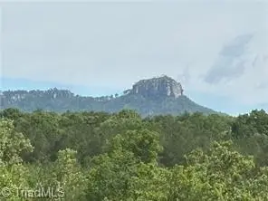 000 Caudle Road, Pinnacle, NC 27043 - Image #3